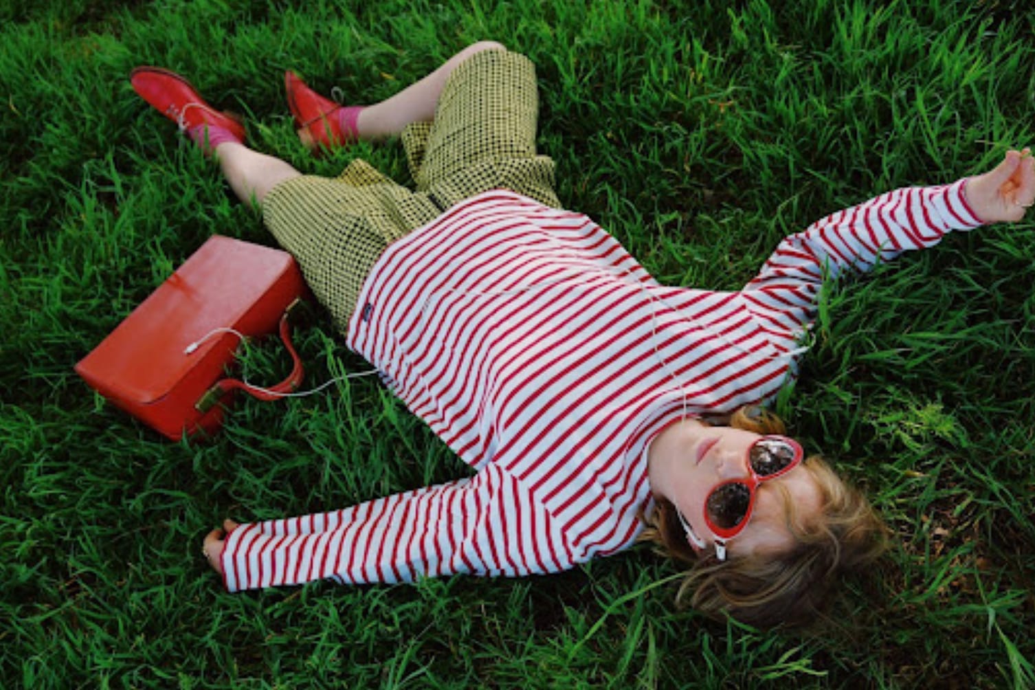 Little Dog Star - National Disgrace