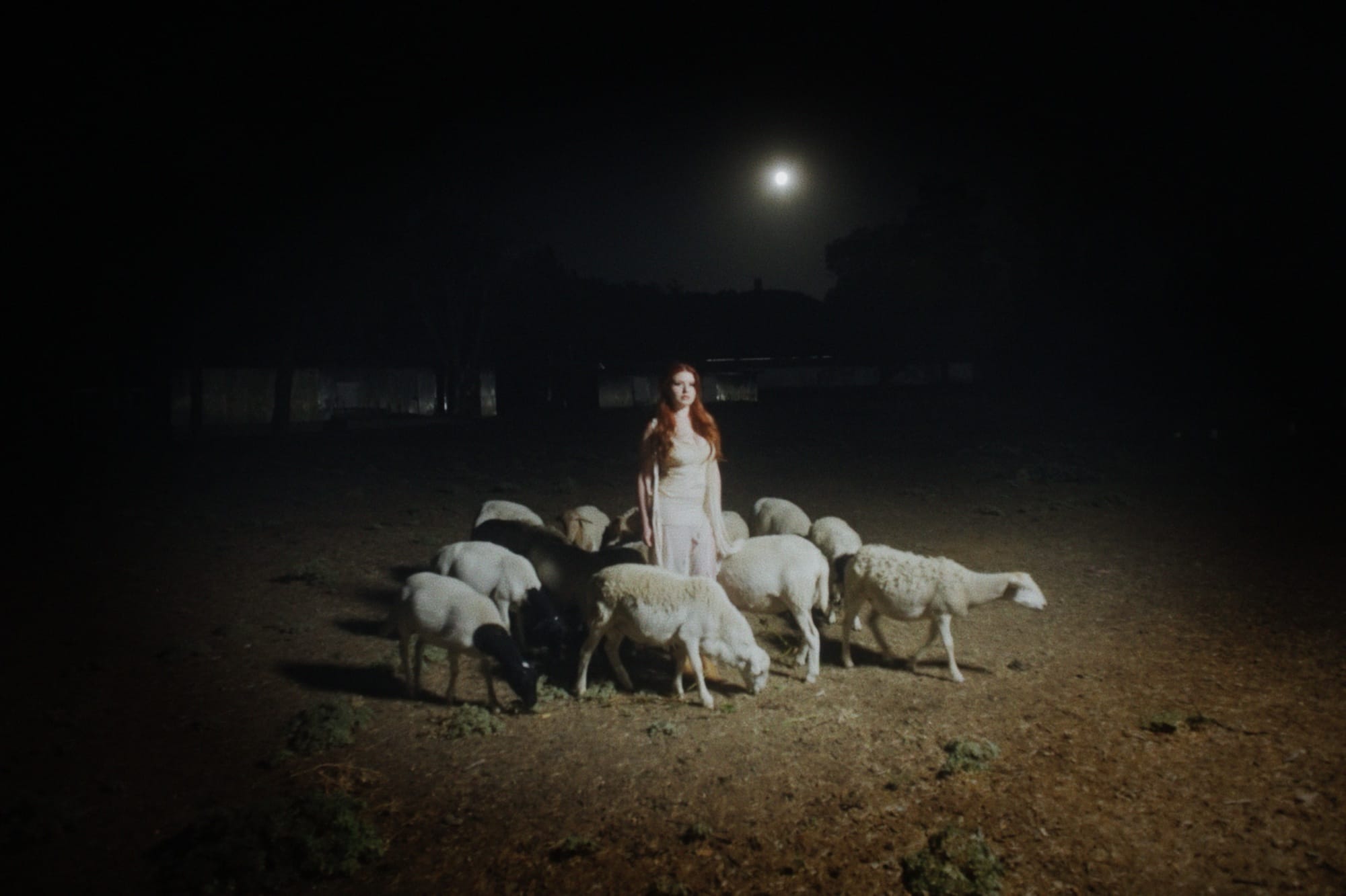 Scarlet Nicole - Poison