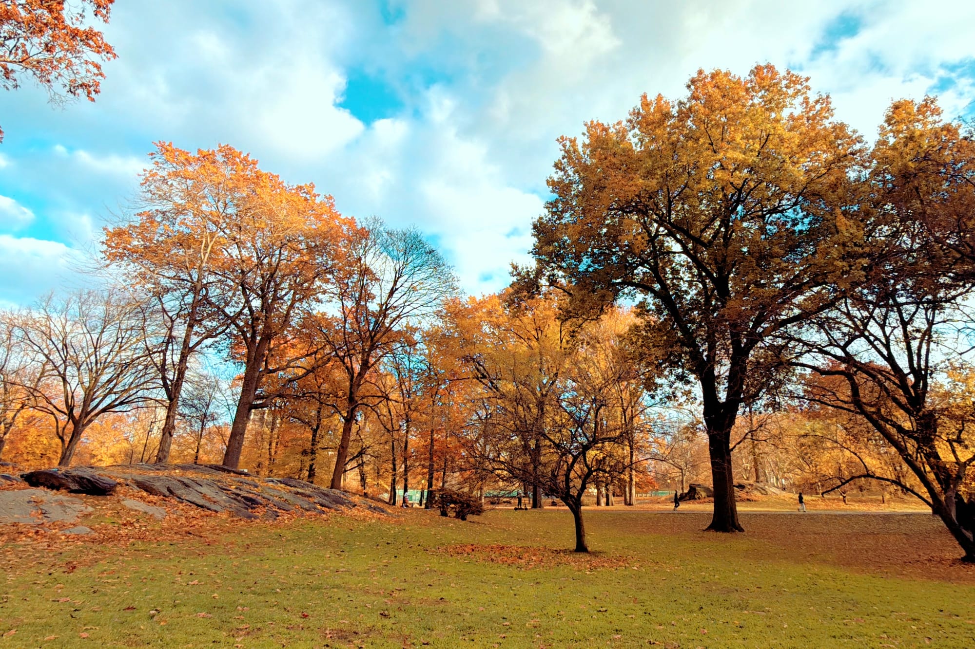 Into the Season: Music, Movies, and a Dash of Dublin