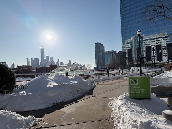 Cold Days, Warm Sounds