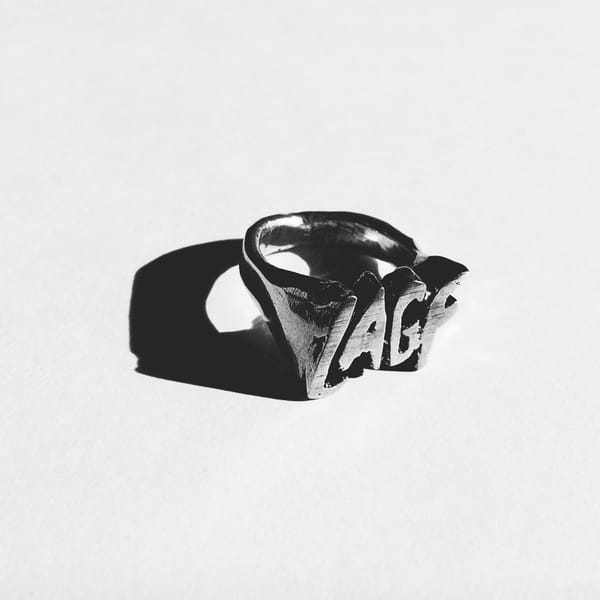 NEW ALBUM: L.A. Girlfriend - Neon Grey
