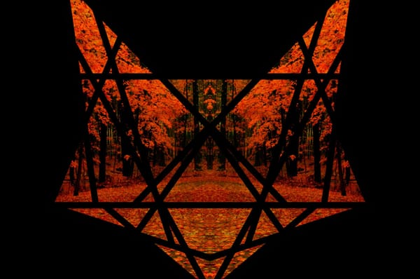 SONG PICK: Foxtrap - Kontrol